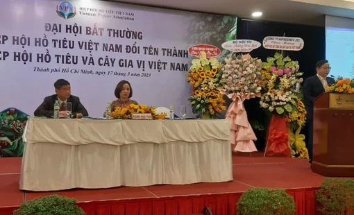 Mở cơ hội cho ngành hàng gia vị Việt Nam vươn ra thế giới