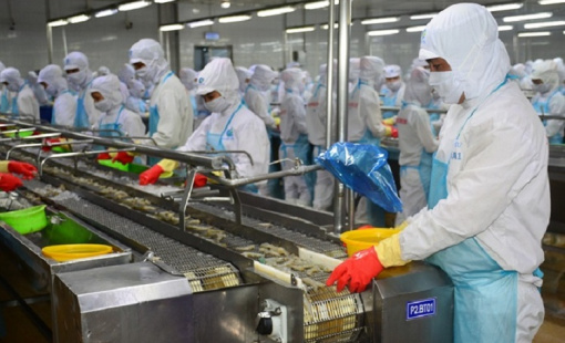 Xuất khẩu thủy sản sụt giảm mạnh nhiều doanh nghiệp chưa có đơn hàng cho tháng Tư