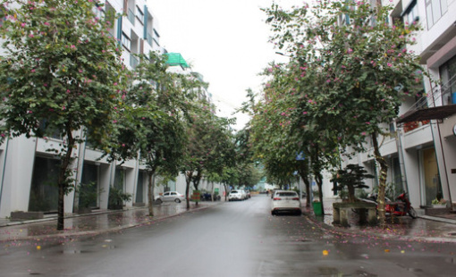 Phân khúc bất động sản nào sẽ "hút" dòng tiền mạnh nhất trong thời gian tới?