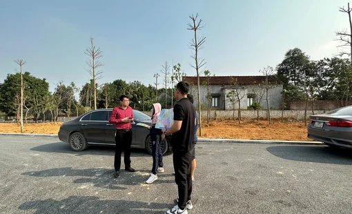 Tiết lộ thời điểm thị trường bất động sản “ấm” trở lại