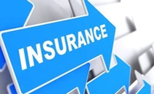 Khi Manulife, Sun Life liên tục báo lỗ, doanh nghiệp bảo hiểm trong nước thì sao?