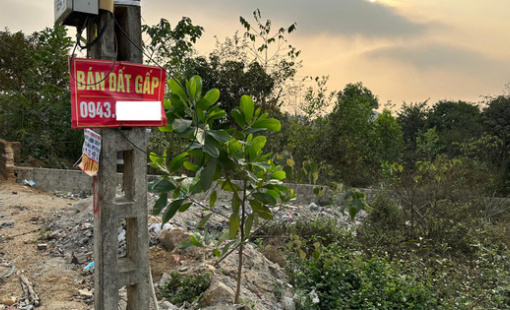 Bất động sản thời bị "ép giá", chủ đất bức xúc treo biển "đất hạ giá thì lên mạng mà mua"