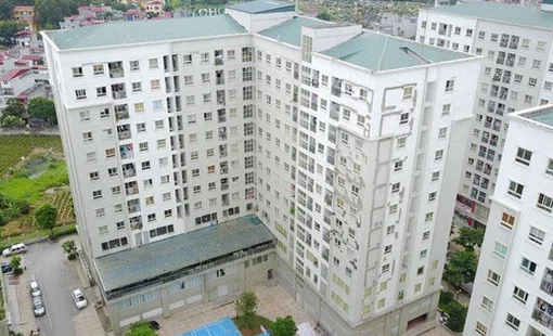 GS.TS Trần Ngọc Đường: Nhà chung cư là tài sản rất lớn, lẽ nào lại chấm dứt quyền sở hữu đơn giản, lạnh lùng?