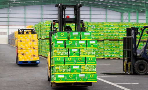 Tân Hiệp Phát: Từ “đế chế” giải khát tỷ đô đến cú “sẩy chân” vì bất động sản