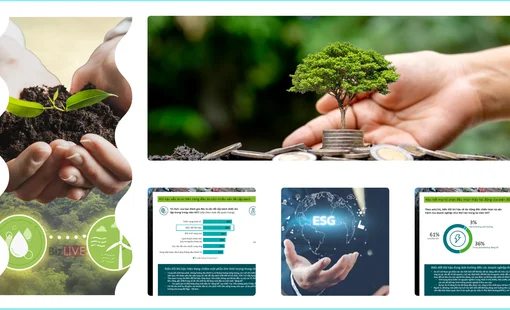 Các tổ chức toàn cầu đẩy mạnh đầu tư vào phát triển bền vững trong giai đoạn nhiều biến động