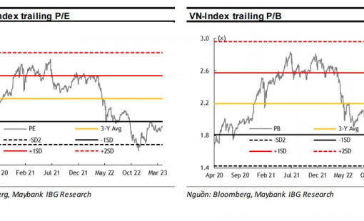 MSVN: Thị trường đang ở thời điểm 10 năm mới có một lần