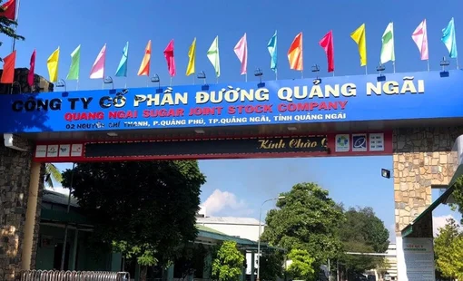Sóng Mía đường không thể thiếu QNS