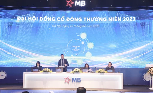 ĐHĐCĐ MB: Chưa có áp lực nợ xấu BĐS, đầu năm sau sẽ nhận chuyển giao ngân hàng yếu kém