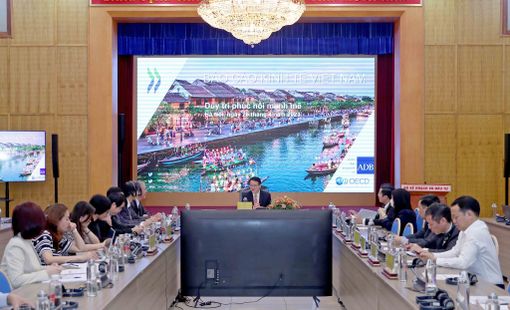 OECD khuyến cáo Việt Nam cần chuẩn bị sẵn sàng cho tình trạng già hóa dân số