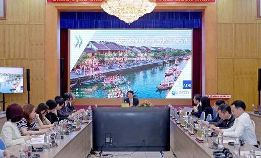 OECD khuyến cáo Việt Nam cần chuẩn bị sẵn sàng cho tình trạng già hóa dân số