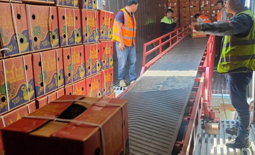 Việt Nam xuất khẩu tỷ USD mặt hàng này sang Trung Quốc nhưng Thái Lan mới là "bạn hàng" số một người dân ở đây