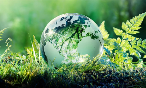 80% doanh nghiệp FDI sử dụng công nghệ lạc hậu: Tăng trưởng xanh tại Việt Nam gặp nhiều thách thức