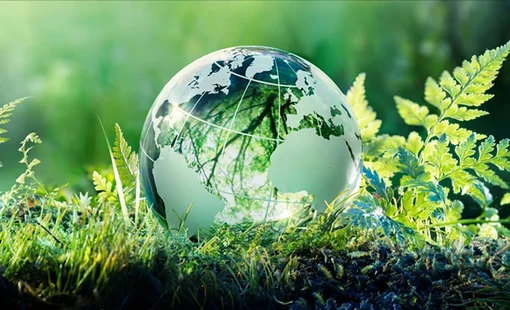 80% doanh nghiệp FDI sử dụng công nghệ lạc hậu: Tăng trưởng xanh tại Việt Nam gặp nhiều thách thức