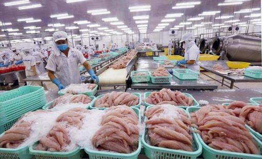 Quý kinh doanh kém sắc của doanh nghiệp thủy sản: Lợi nhuận "bốc hơi" quá nửa