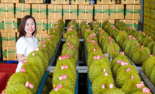 Xuất khẩu rau quả có thể đạt 4 tỷ USD năm 2023