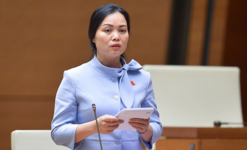 Đại biểu Quốc hội đề nghị lấy kết quả của đơn vị tư vấn để xác định giá đất thị trường