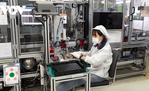 Việt Nam là "thỏi nam châm" thu hút FDI