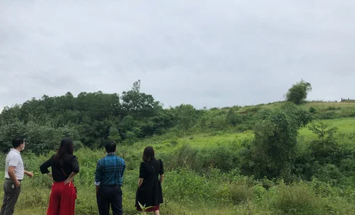 Sau 2 năm làn sóng bỏ phố "về quê nuôi cá và trồng thêm rau" bùng nổ: "Bán tháo" tràn lan, giá giảm sâu