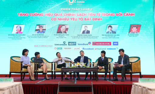 “Ngân hàng Nhà nước như đang đi trên dây”