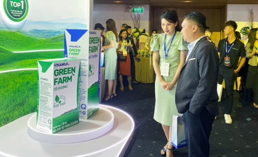 Nghịch lý VNM, "cứu tinh" của thị trường lại đang dò đáy