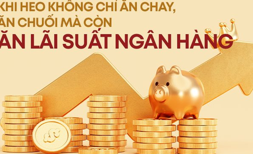 Khi heo không chỉ ăn cám, ăn chuối mà còn ăn cả "lãi" ngân hàng