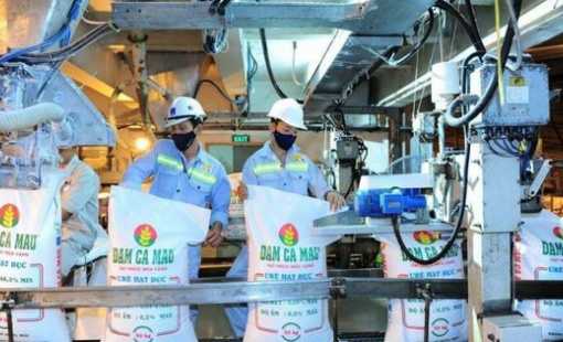 Đạm Cà Mau và Đạm Phú Mỹ đang hoạt động thế nào trước đề xuất ngừng toàn bộ nhà máy nhường khí cho sản xuất điện