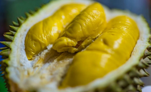 Trung Quốc ăn sầu riêng "nhà trồng" vào tháng 6 - Thái Lan, Việt Nam, Malaysia có sợ mất thị trường xuất khẩu tỷ USD?