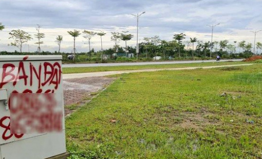 Hà Nội chuẩn bị đấu giá gần 200 lô đất giữa bối cảnh thị trường trầm lắng, giá khởi điểm có lô lên tới 7,7 tỷ đồng