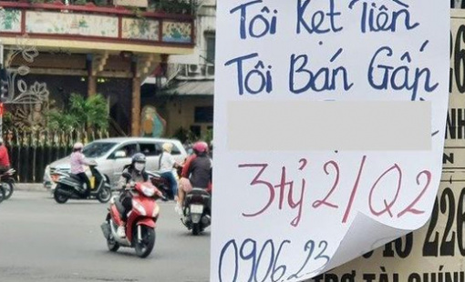 Sự thật về những thông tin "bán cắt lỗ" đất nền rầm rộ tại khắp nơi