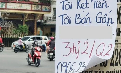 Sự thật về những thông tin "bán cắt lỗ" đất nền rầm rộ tại khắp nơi