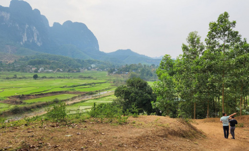 Đất nền tách thửa phân lô ven đô vẫn "đóng băng" dù giá giảm sâu 40%