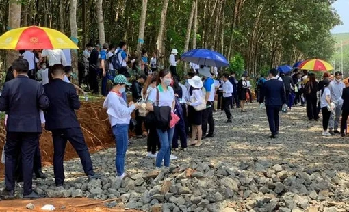 Thị trường bất động sản đang trải qua cuộc sàng lọc khốc liệt nhất trong vòng một thập kỷ qua