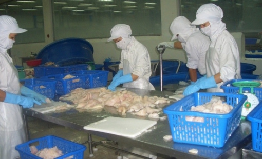 Xuất khẩu thủy sản giảm sâu: Giải pháp nào vượt qua khó khăn?