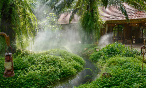 Cuộc tháo chạy khỏi homestay của "nhà giàu": Lo sợ thanh tra đất rừng, đất nông nghiệp và những thương vụ rao bán ngầm