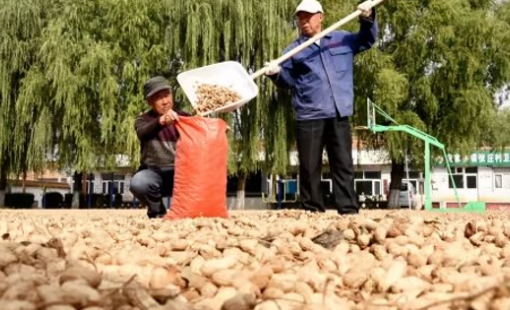 Một loạt nông sản Việt Nam sản xuất thuộc top đầu thế giới bất ngờ tăng nóng do El Nino