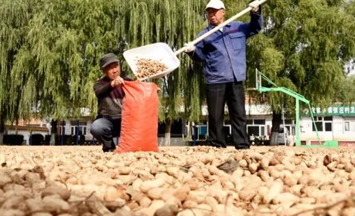 Một loạt nông sản Việt Nam sản xuất thuộc top đầu thế giới bất ngờ tăng nóng do El Nino