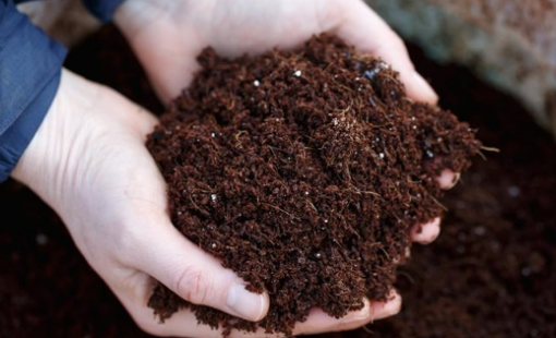 Mặt hàng này của Nga ồ ạt vào Việt Nam, nhập khẩu tăng gần 500% trong tháng 5, là mặt hàng Nga xuất khẩu đầu thế giới