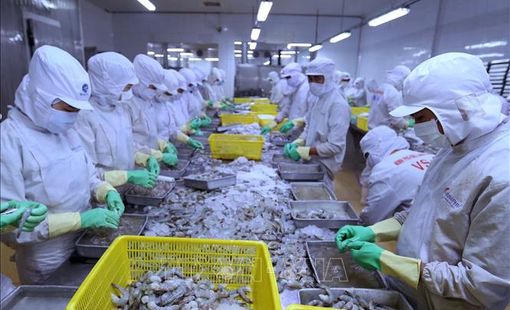 Ngành thuỷ sản đối mặt với nhiều khó khăn