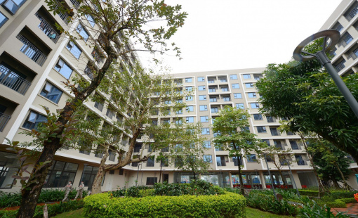 Savills: Nguồn cung hạn chế, nhà ở cho công nhân đang là phân khúc ngách hấp dẫn