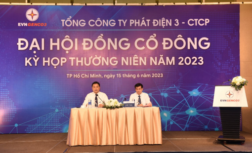 ĐHĐCĐ EVNGENCO3: Đảm bảo nguồn cung than và khí liên tục trong năm 2023