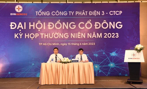 ĐHĐCĐ EVNGENCO3: Đảm bảo nguồn cung than và khí liên tục trong năm 2023