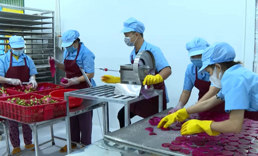 Thống đốc lý giải vì sao doanh nghiệp khó tiếp cận vốn trong khi thanh khoản dư thừa