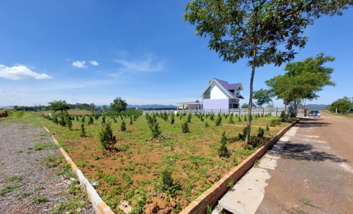 Lâm Đồng uỷ quyền cho các huyện, thành phố quyết định giá đất