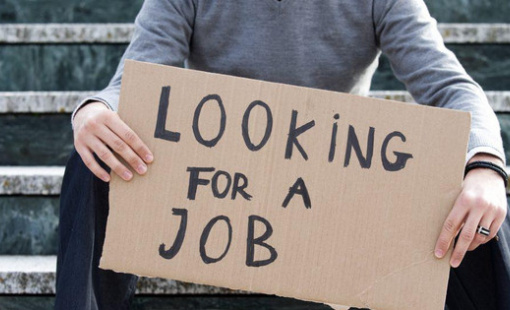 Thị trường tuyển dụng ảm đạm: Du lịch giảm 43%, nghề CNTT giảm 20%, nhu cầu tuyển sinh viên mới ra trường giảm một nửa