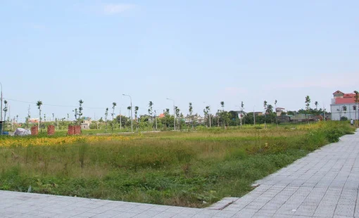 Hàng trăm lô đất sắp được các địa phương đấu giá trong tháng 6/2023