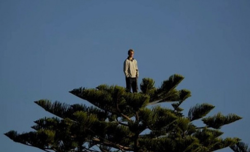 Làm thế nào để nhận diện vùng đỉnh trong đầu tư chứng khoán?