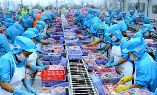 Tăng liên tiếp 3 tuần, ANV có thể nối dài chuỗi tăng giá?