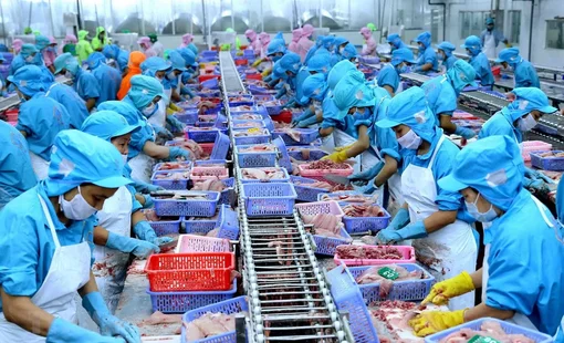 Tăng liên tiếp 3 tuần, ANV có thể nối dài chuỗi tăng giá?