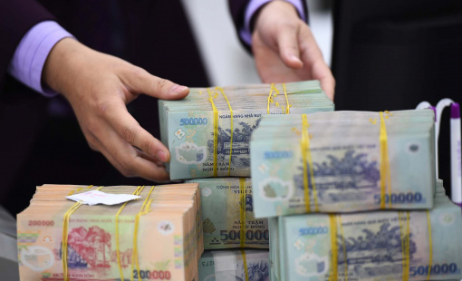 Thanh tra Chính phủ chỉ ra hàng loạt vi phạm khi thực hiện cơ cấu lại ngân hàng yếu kém