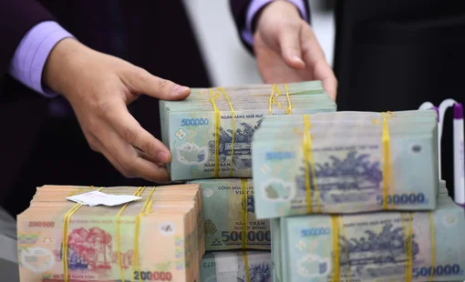 Thanh tra Chính phủ chỉ ra hàng loạt vi phạm khi thực hiện cơ cấu lại ngân hàng yếu kém